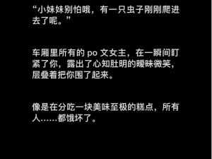 公车之狼 12 集全小说：刺激的地铁性骚扰故事