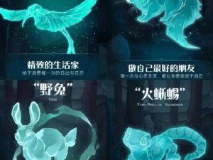 哈利波特魔法觉醒：守护神蜂鸟的获取方法解析