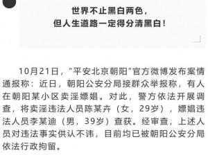 在线国产三级：挑战传统观念的网络热点