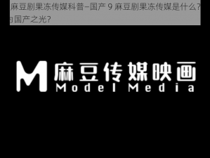 国产9麻豆剧果冻传媒科普—国产 9 麻豆剧果冻传媒是什么？为何被称为国产之光？