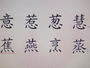 好媳妇 4 中汉字：功能强大的汉字学习软件