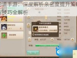 问道手游：深度解析亲密度提升策略与技巧全解析