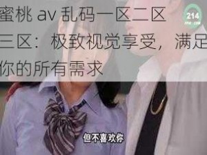 蜜桃 av 乱码一区二区三区：极致视觉享受，满足你的所有需求