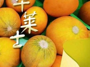 51cg 今日吃瓜热门大瓜：加州女博士的惊天秘密