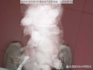 freeXXX 性中国 HD 露脸国产自慰神器，让你欲罢不能