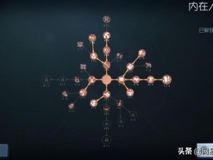 第五人格摄影师人格加点攻略：摄影师天赋图详解与实战应用策略分析