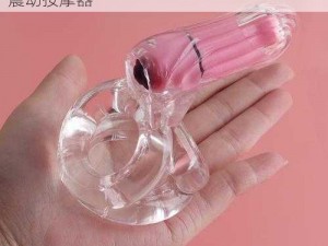 男性情趣用品——男流氓舔美女的各种部位震动按摩器