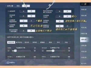 和平精英无线数据授权设置全攻略：轻松掌握授权步骤与技巧