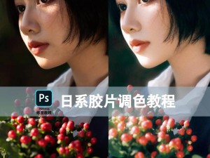 Photoshop 一级二级调色大片视频教程：教你轻松成为调色高手