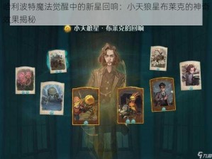 哈利波特魔法觉醒中的新星回响：小天狼星布莱克的神奇效果揭秘