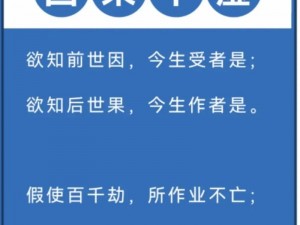 百因必有果，你的报应就是我——因果循环下的情感回响与道德警示