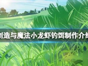 揭秘创造与魔法小龙虾钓饵制作方法及其神奇吸引力