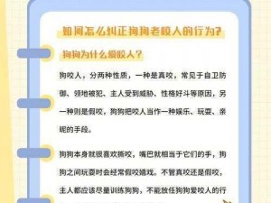 狗狗和人咬配方大全高清大片：揭秘如何训练狗狗做出惊人的动作和技巧