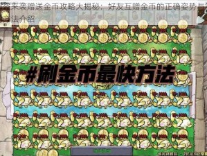 海盗来袭赠送金币攻略大揭秘：好友互赠金币的正确姿势与实用方法介绍