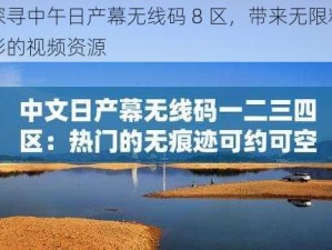 探寻中午日产幕无线码 8 区，带来无限精彩的视频资源