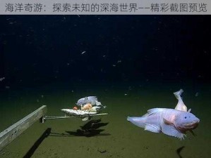 海洋奇游：探索未知的深海世界——精彩截图预览