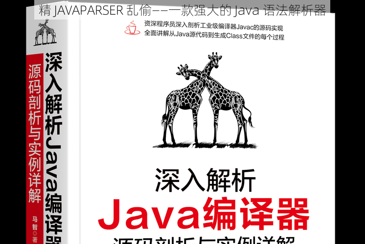 精 JAVAPARSER 乱偷——一款强大的 Java 语法解析器