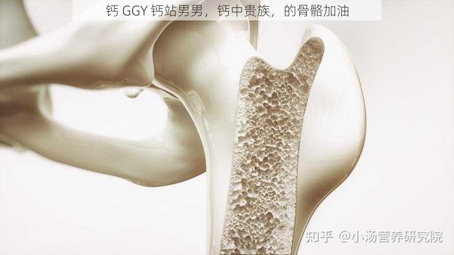 钙 GGY 钙站男男，钙中贵族，的骨骼加油