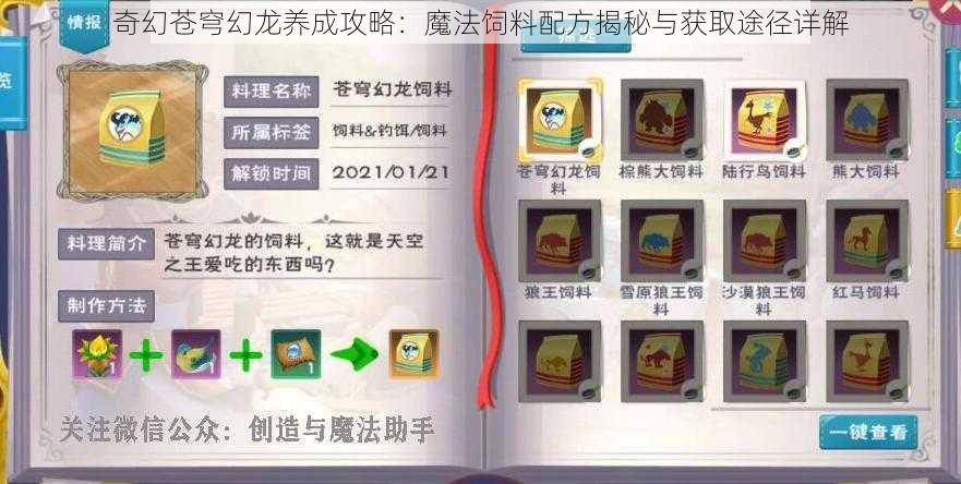 奇幻苍穹幻龙养成攻略：魔法饲料配方揭秘与获取途径详解