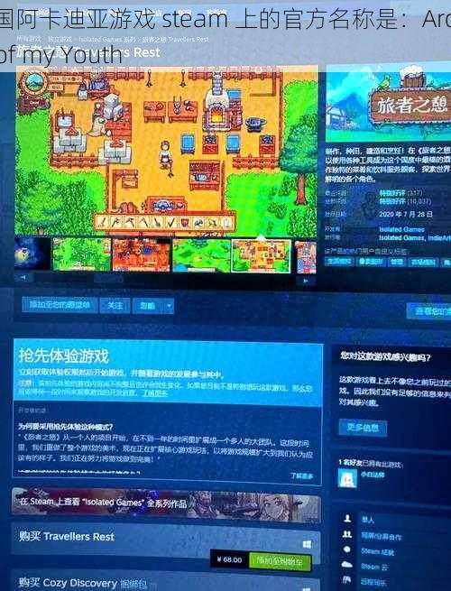 美国阿卡迪亚游戏 steam 上的官方名称是：Arcadia of my Youth