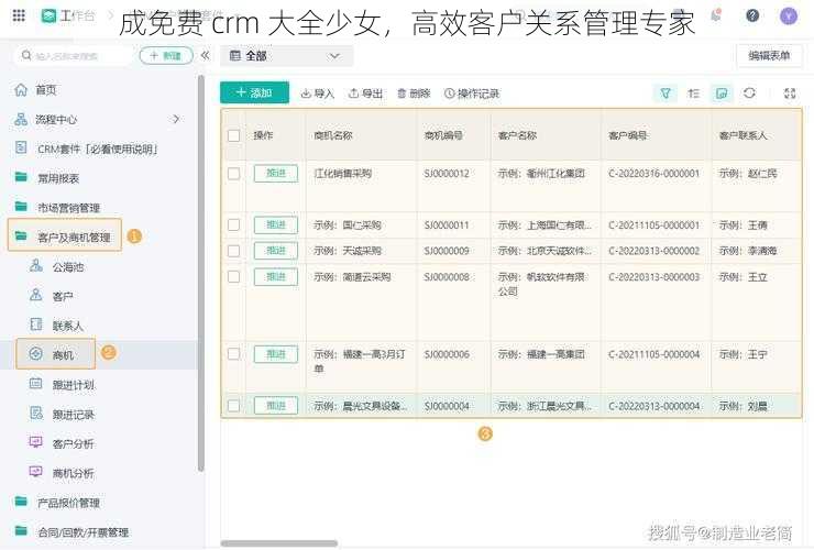 成免费 crm 大全少女，高效客户关系管理专家