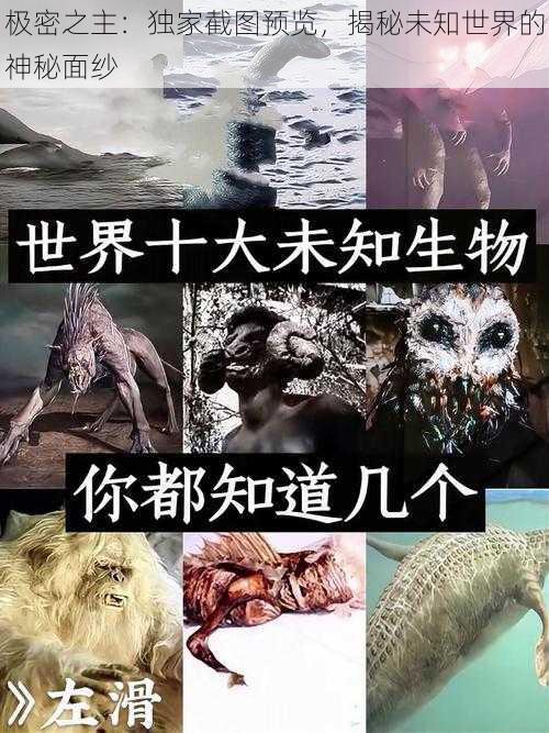 极密之主：独家截图预览，揭秘未知世界的神秘面纱