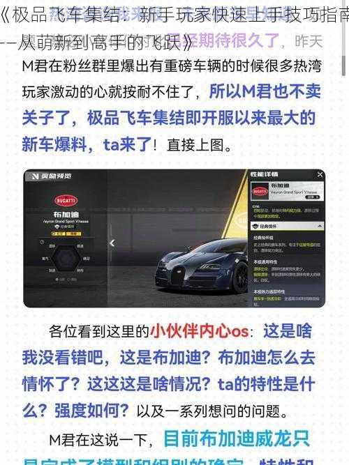 《极品飞车集结：新手玩家快速上手技巧指南——从萌新到高手的飞跃》