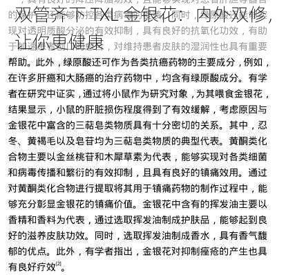 双管齐下 TXL 金银花：内外双修，让你更健康