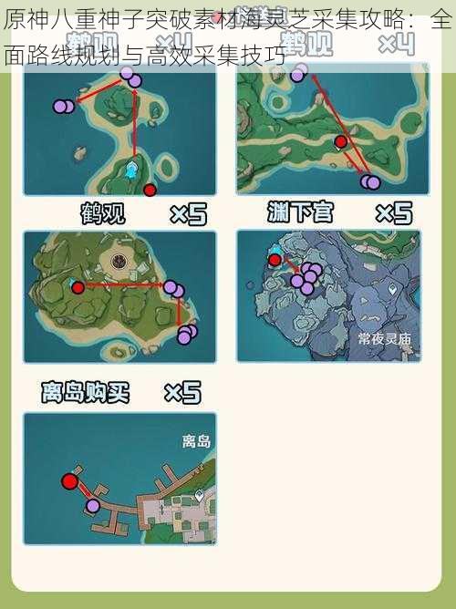 原神八重神子突破素材海灵芝采集攻略：全面路线规划与高效采集技巧