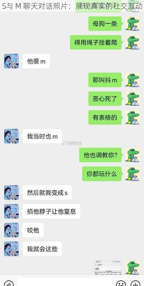 S与 M 聊天对话照片：展现真实的社交互动