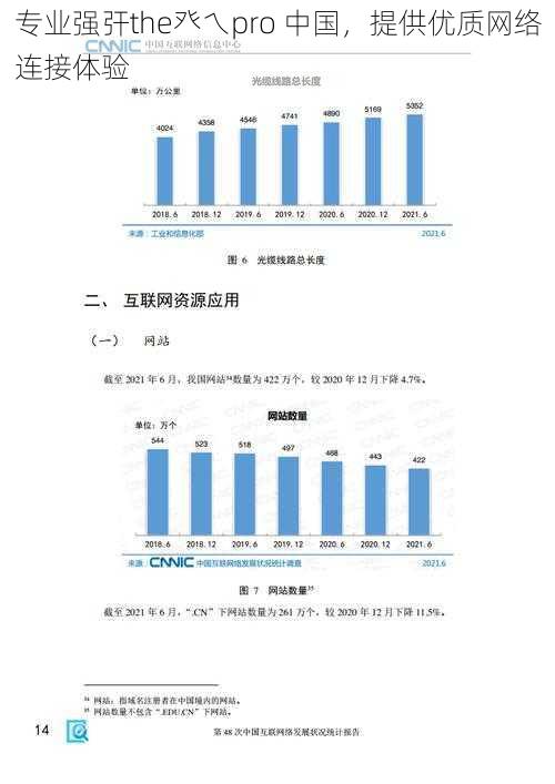 专业强㢨the癶乀pro 中国，提供优质网络连接体验