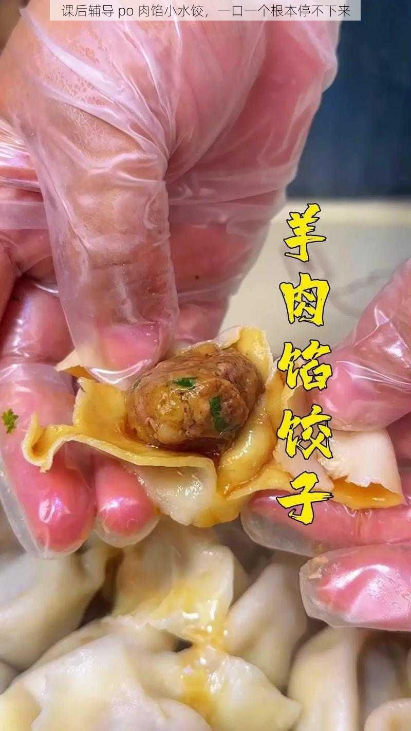 课后辅导 po 肉馅小水饺，一口一个根本停不下来