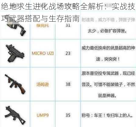 绝地求生进化战场攻略全解析：实战技巧武器搭配与生存指南