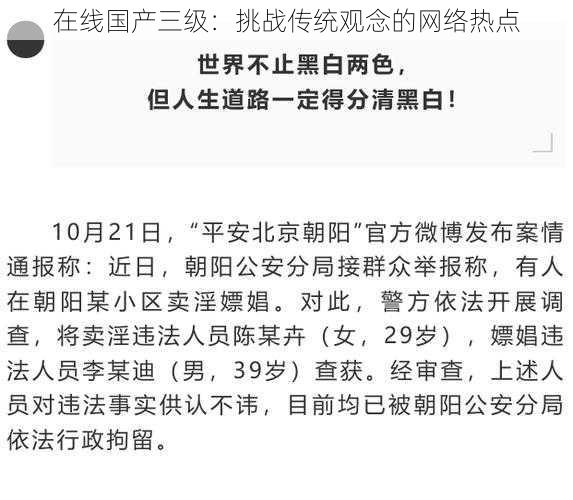 在线国产三级：挑战传统观念的网络热点