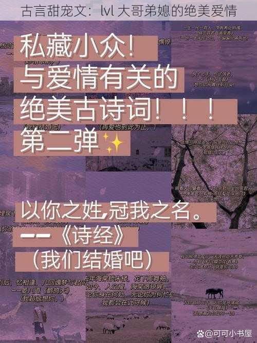 古言甜宠文：lvl 大哥弟媳的绝美爱情