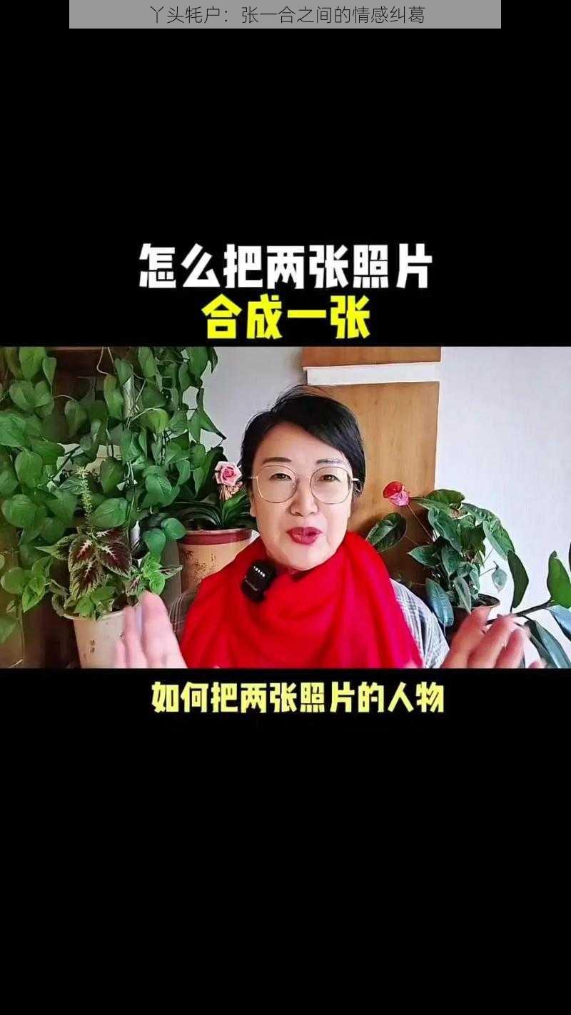 丫头牦户：张一合之间的情感纠葛