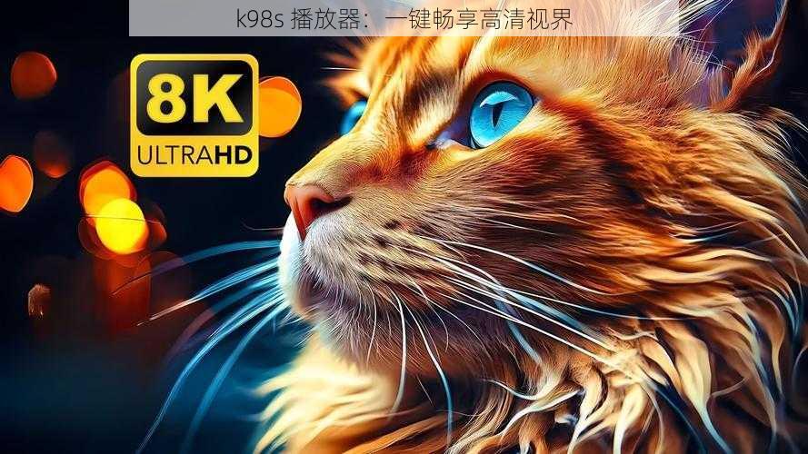 k98s 播放器：一键畅享高清视界