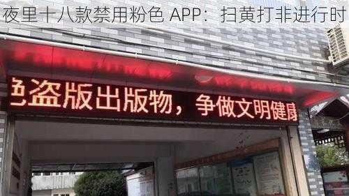 夜里十八款禁用粉色 APP：扫黄打非进行时