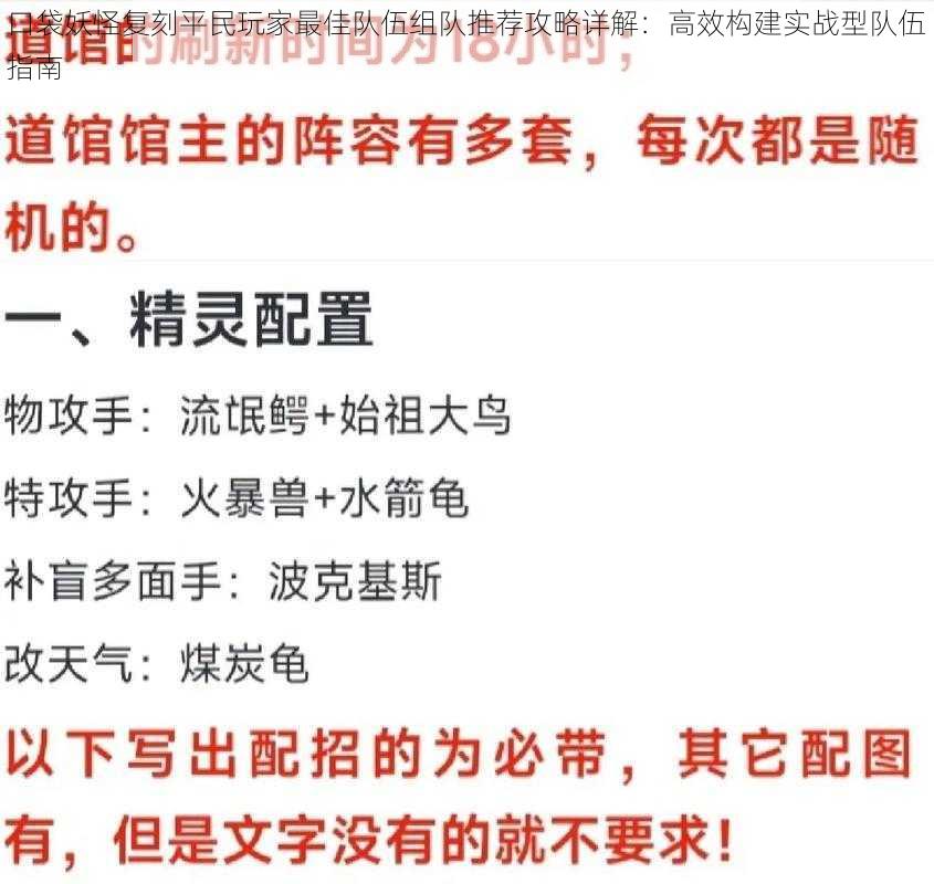 口袋妖怪复刻平民玩家最佳队伍组队推荐攻略详解：高效构建实战型队伍指南