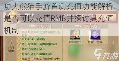 功夫熊猫手游首测充值功能解析：是否可以充值RMB并探讨其充值机制