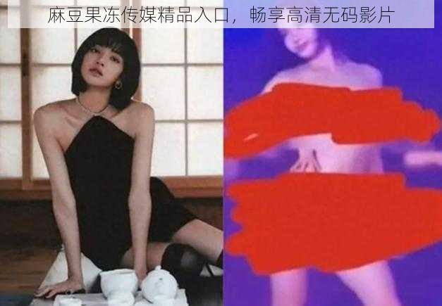 麻豆果冻传媒精品入口，畅享高清无码影片