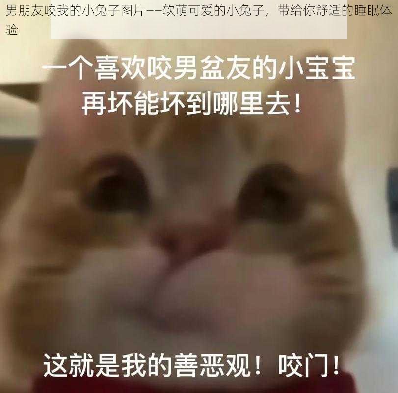 男朋友咬我的小兔子图片——软萌可爱的小兔子，带给你舒适的睡眠体验