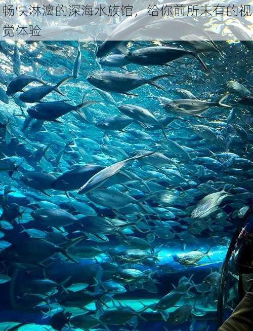 畅快淋漓的深海水族馆，给你前所未有的视觉体验