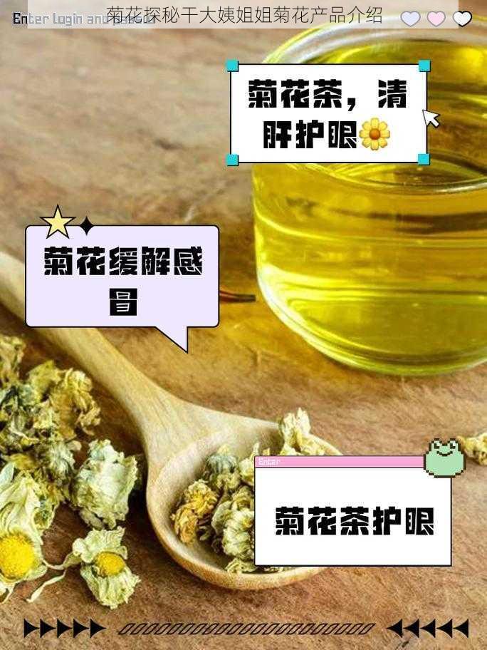 菊花探秘干大姨姐姐菊花产品介绍