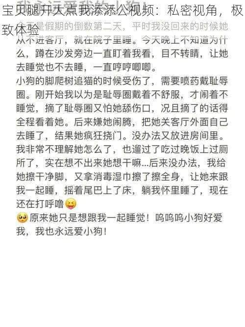 宝贝腿开大点我添添公视频：私密视角，极致体验