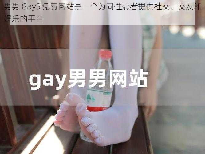 男男 GayS 免费网站是一个为同性恋者提供社交、交友和娱乐的平台