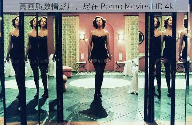 高画质激情影片，尽在 Porno Movies HD 4k