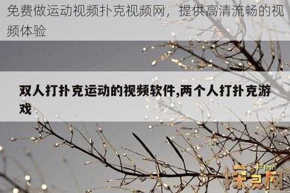 免费做运动视频扑克视频网，提供高清流畅的视频体验