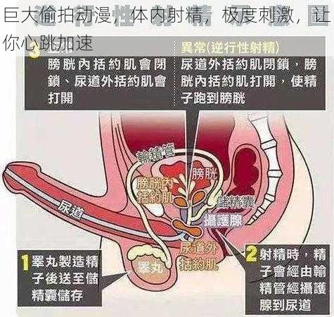 巨大偷拍动漫，体内射精，极度刺激，让你心跳加速