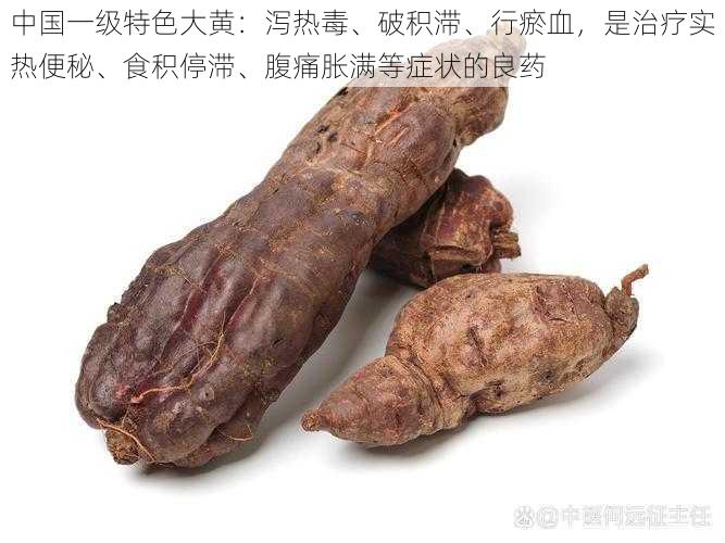 中国一级特色大黄：泻热毒、破积滞、行瘀血，是治疗实热便秘、食积停滞、腹痛胀满等症状的良药